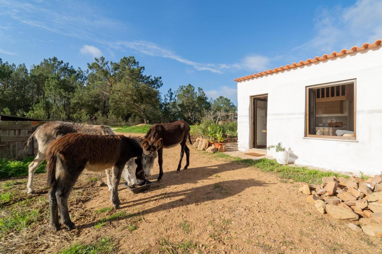 Casa Da Paz Apartment Алжезур Екстериор снимка